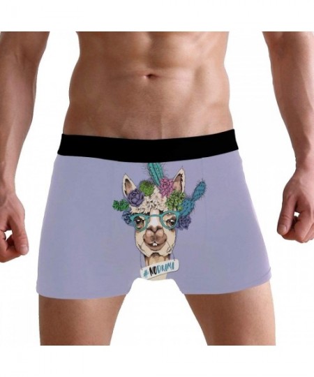 G-Strings & Thongs Men's Boxers Briefs Men Boxer Shorts Mens Trunks Good Friends are Like Stars - Cacti Flowers Portrait of N...