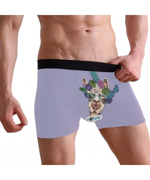 G-Strings & Thongs Men's Boxers Briefs Men Boxer Shorts Mens Trunks Good Friends are Like Stars - Cacti Flowers Portrait of N...