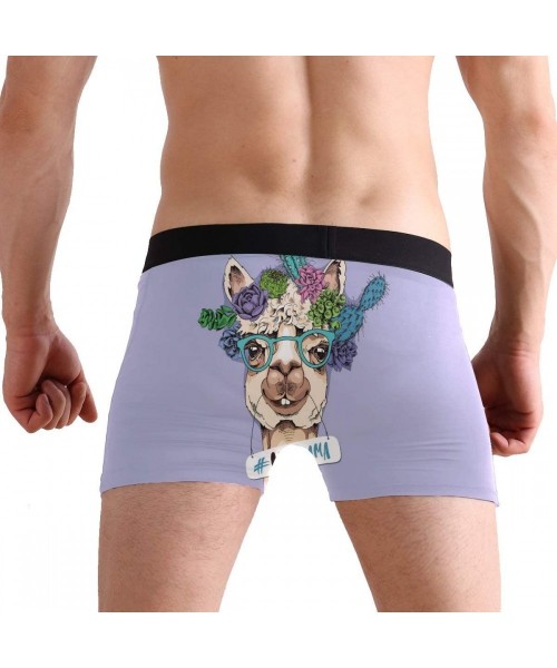 G-Strings & Thongs Men's Boxers Briefs Men Boxer Shorts Mens Trunks Good Friends are Like Stars - Cacti Flowers Portrait of N...