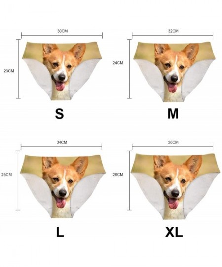 Panties Seamless Underwear Soft Briefs for Women Low Rise Animal Pattern - 1 Pack-design 4 - CG18M7HN37D